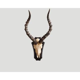 Scultura DB001975, фото 1