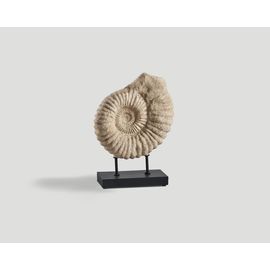 Scultura DB004485, фото 1