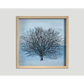 Quadro DB005036, фото 1