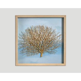 Quadro DB005075, фото 1