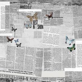 Обои Adriani &amp; Rossi Newspaper, фото 1