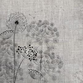 Обои Adriani &amp; Rossi Windflowers, фото 1