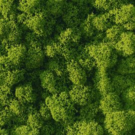 Декор &quot;зеленая стена&quot; Adriani &amp; Rossi Lichen, фото 1