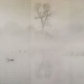 Обои Adriani &amp; Rossi SILENTE, фото 1