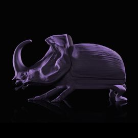 Стул Máximo Riera The Beetle Chair, фото 1