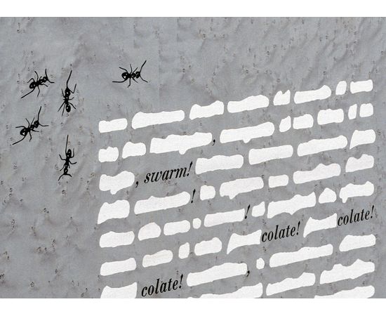 Комод Laurameroni Le Formiche Nere, фото 3