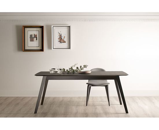 Обеденный стол Treku Aise table, фото 5