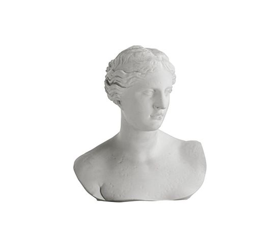 Декоративный элемент Adriani &amp; Rossi Athena Lemnia bust, фото 1