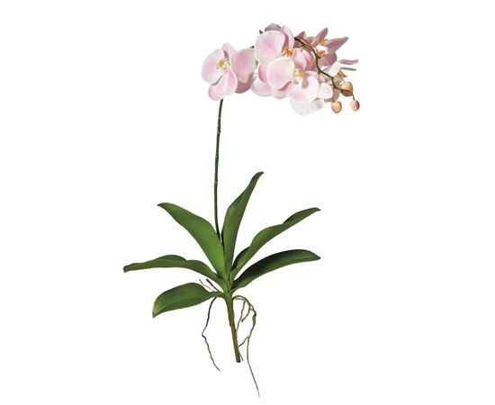 Декоративный элемент Adriani &amp; Rossi Big Orchid flower, фото 1