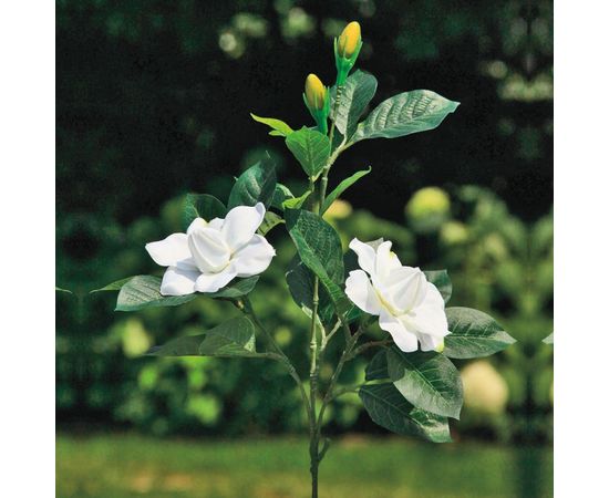 Декоративный элемент Adriani &amp; Rossi Gardenia Flower, фото 1