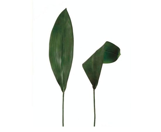 Декоративный элемент Adriani &amp; Rossi Green Leaf 2, фото 1