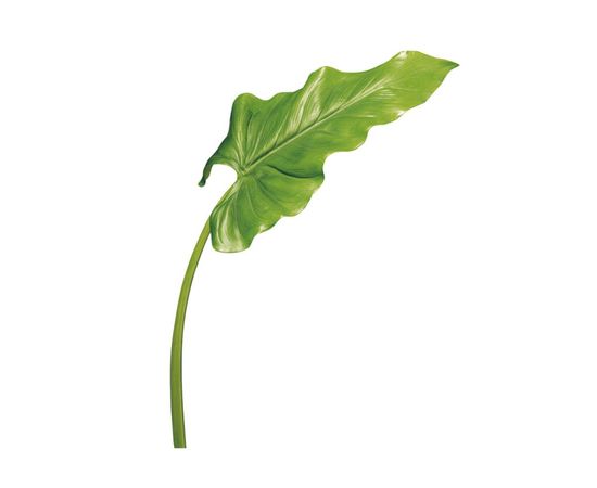 Декоративный элемент Adriani &amp; Rossi Green leaf, фото 1