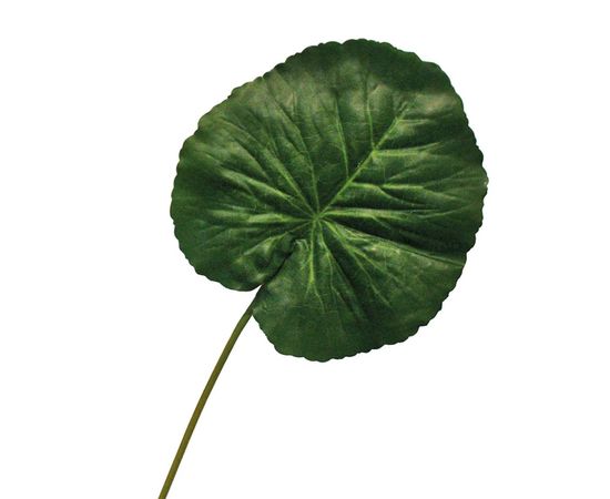 Декоративный элемент Adriani &amp; Rossi Loto flower leaf, фото 1