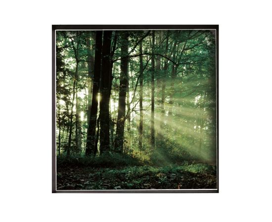 Картины Adriani &amp; Rossi Murales or Pictures Vip photo-frame, фото 2