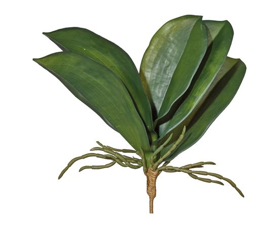 Декоративный элемент Adriani &amp; Rossi Orchia Leaves, фото 1