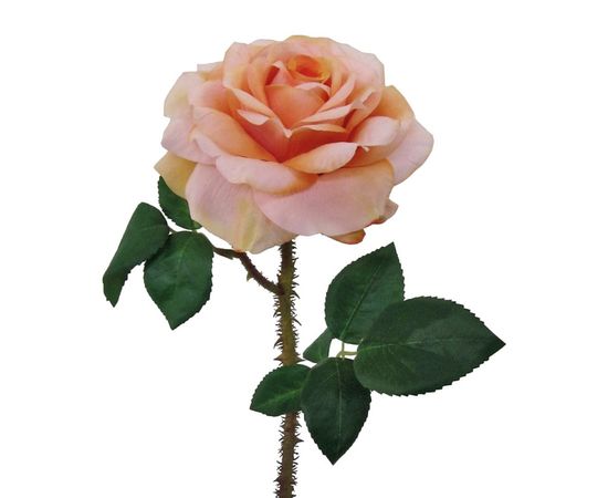 Декоративный элемент Adriani &amp; Rossi Rose Regia, фото 1