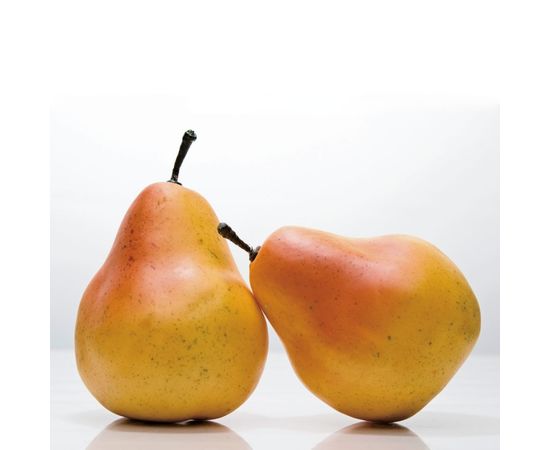 Декоративный элемент Adriani &amp; Rossi Set 3 Pears Fruit, фото 1