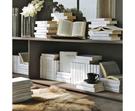 Набор декоративных книг Adriani &amp; Rossi Set of 25 real books, фото 1