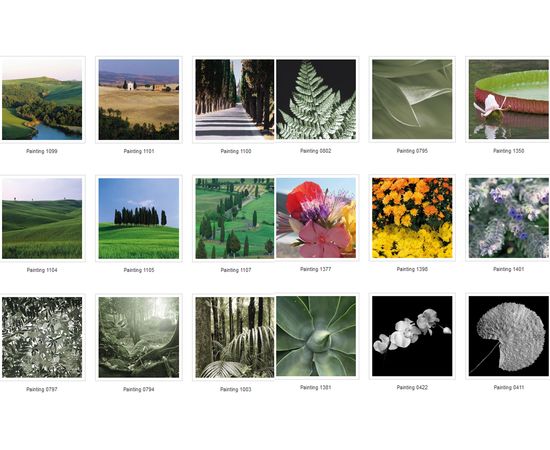 Картина Adriani &amp; Rossi Prints on canvas Flowers and plants Painting 1108, фото 5