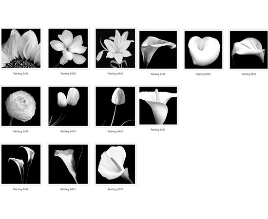 Картина Adriani &amp; Rossi Prints on canvas Flowers and plants Painting 1108, фото 6