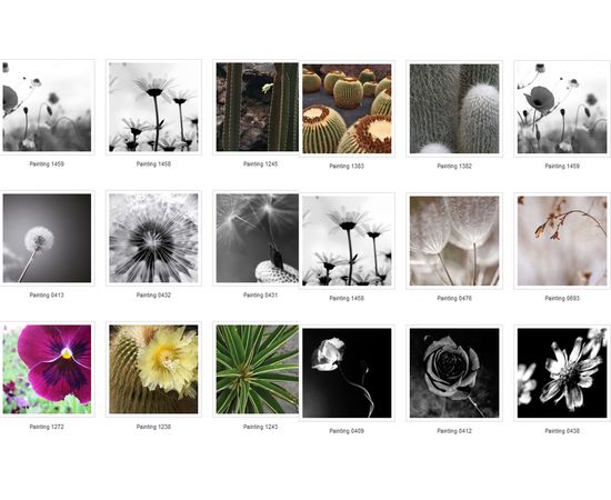 Картина Adriani &amp; Rossi Prints on canvas Flowers and plants Painting 1108, фото 3