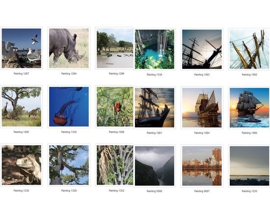 Картина Adriani &amp; Rossi Prints on canvas Sea Ocean and Nature Painting 1894, фото 3