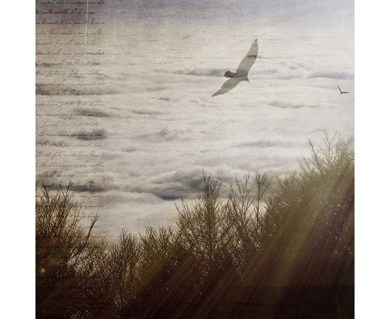 Обои Adriani &amp; Rossi Atmosphere, фото 1