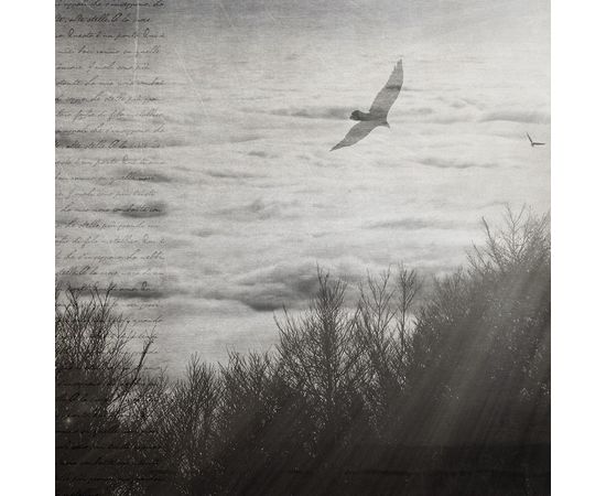 Обои Adriani &amp; Rossi Atmosphere, фото 3