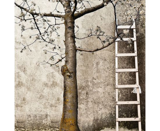 Обои Adriani &amp; Rossi Cherry, фото 1