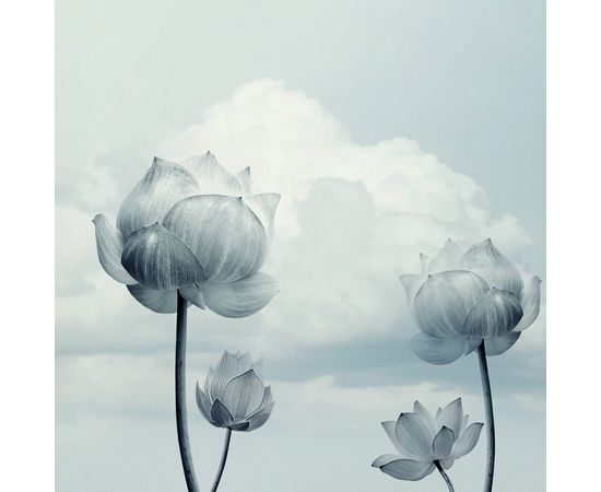 Обои Adriani &amp; Rossi Gulliver, фото 3