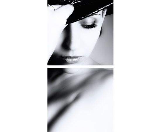 Картина Adriani &amp; Rossi Prints on canvas Big Size Set 2 Paintings 1409, фото 1