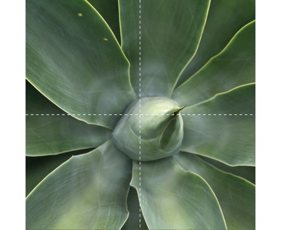 Картина Adriani &amp; Rossi Prints on canvas Big Size Set 4 Paintings 1332, фото 3