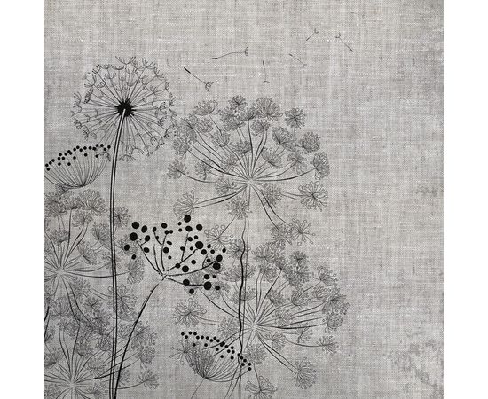 Обои Adriani &amp; Rossi Windflowers, фото 1