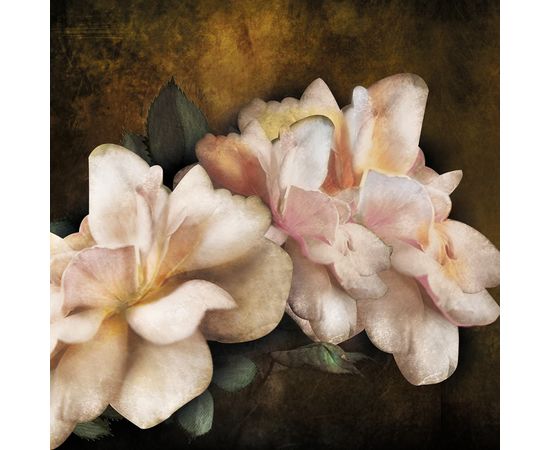 Обои Adriani &amp; Rossi BIG FLOWERS, фото 1