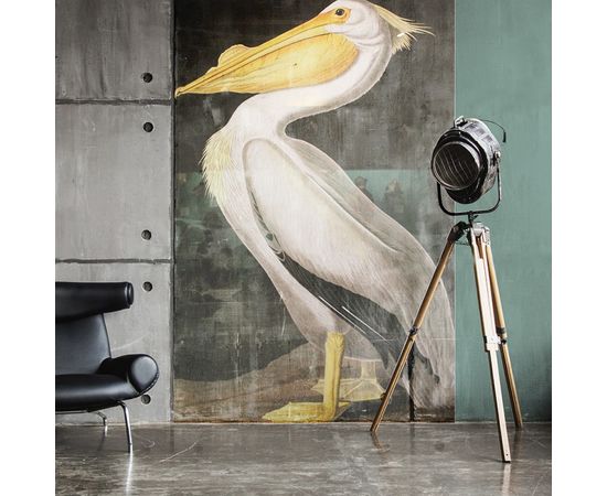 Обои Adriani &amp; Rossi DARWIN, фото 2