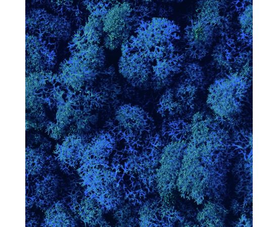 Декор &quot;зеленая стена&quot; Adriani &amp; Rossi Lichen, фото 3