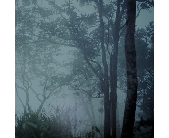 Обои Adriani &amp; Rossi MOON, фото 1