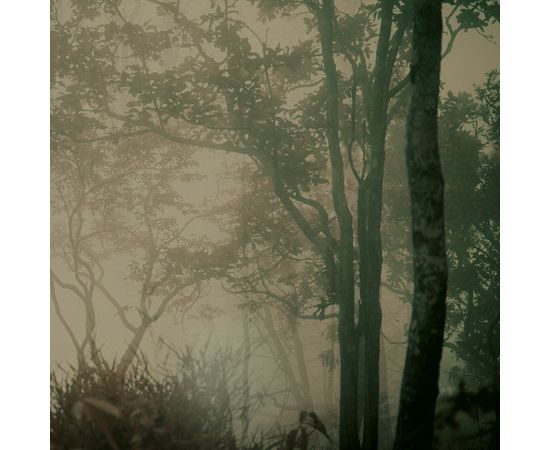 Обои Adriani &amp; Rossi MOON, фото 3