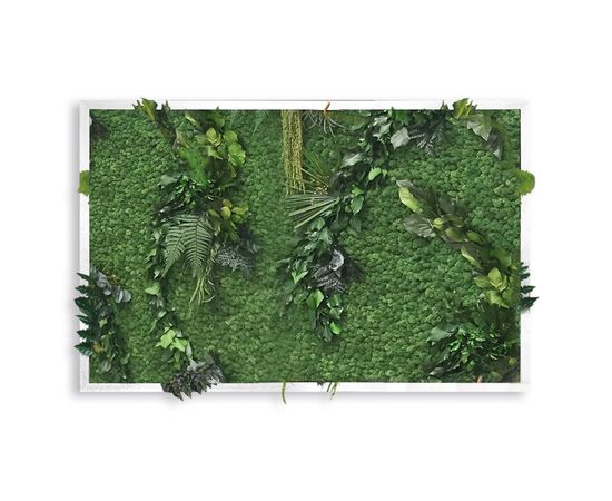 Декор &quot;зеленая стена&quot; Adriani &amp; Rossi Picture Frame Pialla Lichen with leaves, фото 1
