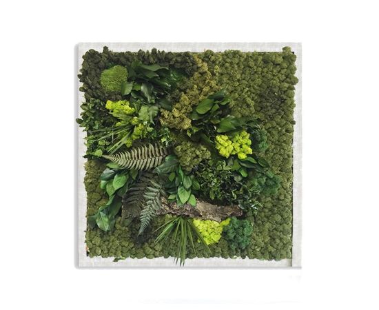 Декор &quot;зеленая стена&quot; Adriani &amp; Rossi Picture Frame Pialla Lichen with leaves, фото 2