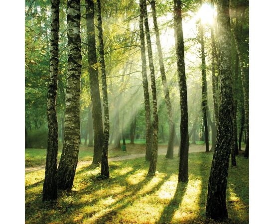 Обои Adriani &amp; Rossi SHERWOOD, фото 1