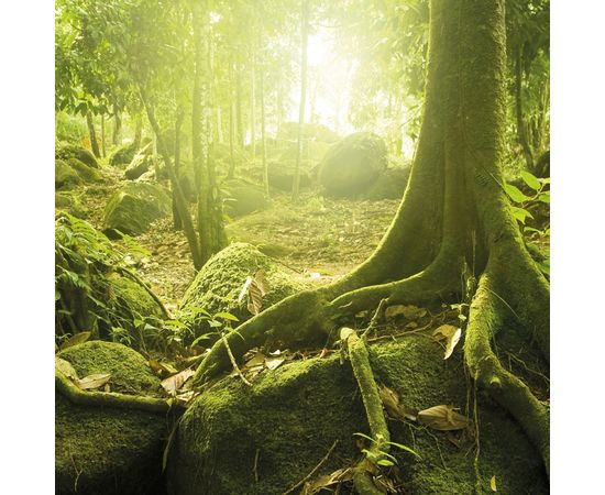 Обои Adriani &amp; Rossi SHERWOOD, фото 3