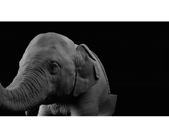 Стул Máximo Riera The Baby Elephant Chair, фото 2