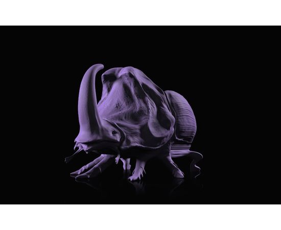 Стул Máximo Riera The Beetle Chair, фото 3