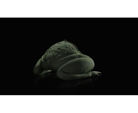 Стул Máximo Riera The Toad Sofa, фото 4