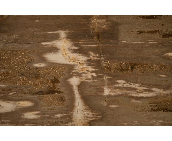 Обеденный стол Phillips Collection Petrified Wood Dining Table, Brushed Stainless Steel, фото 3