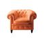 Poltrona Frau Chester, фото 1