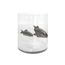 Ваза Adriani &amp; Rossi Illusion fish vase 1, фото 1
