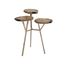 Журнальный столик Phillips Collection Petrified Wood Beverage Table, 3 Tiered, фото 1