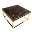 Кофейный столик Phillips Collection Captured Gold Flake, Coffee Table with Plated Brass Finish Base, фото 1